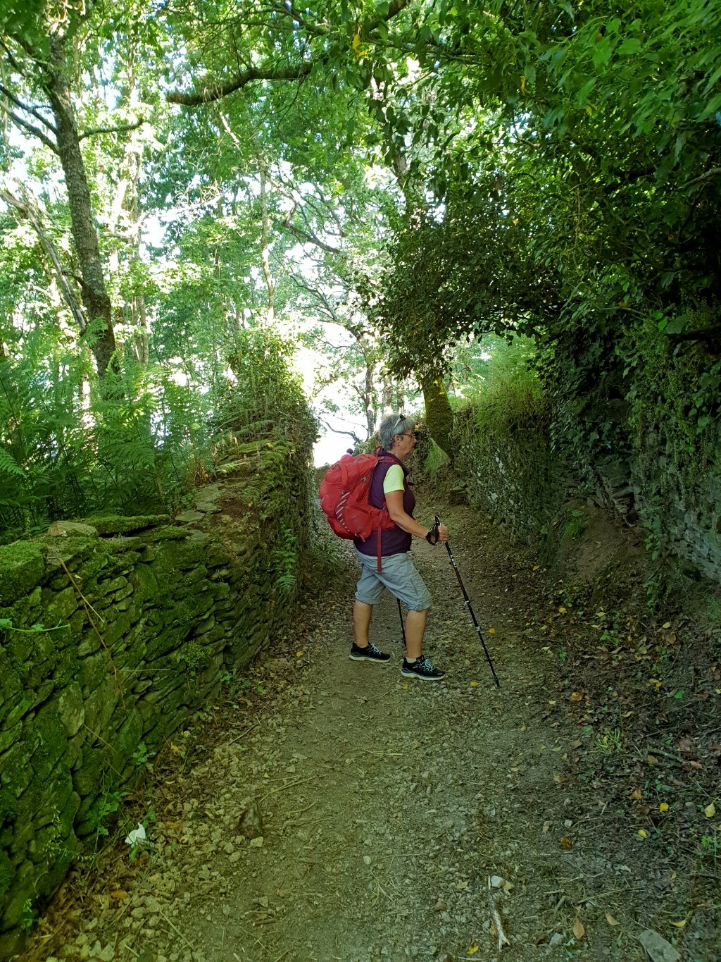 Auf dem Weg nach Portomarin