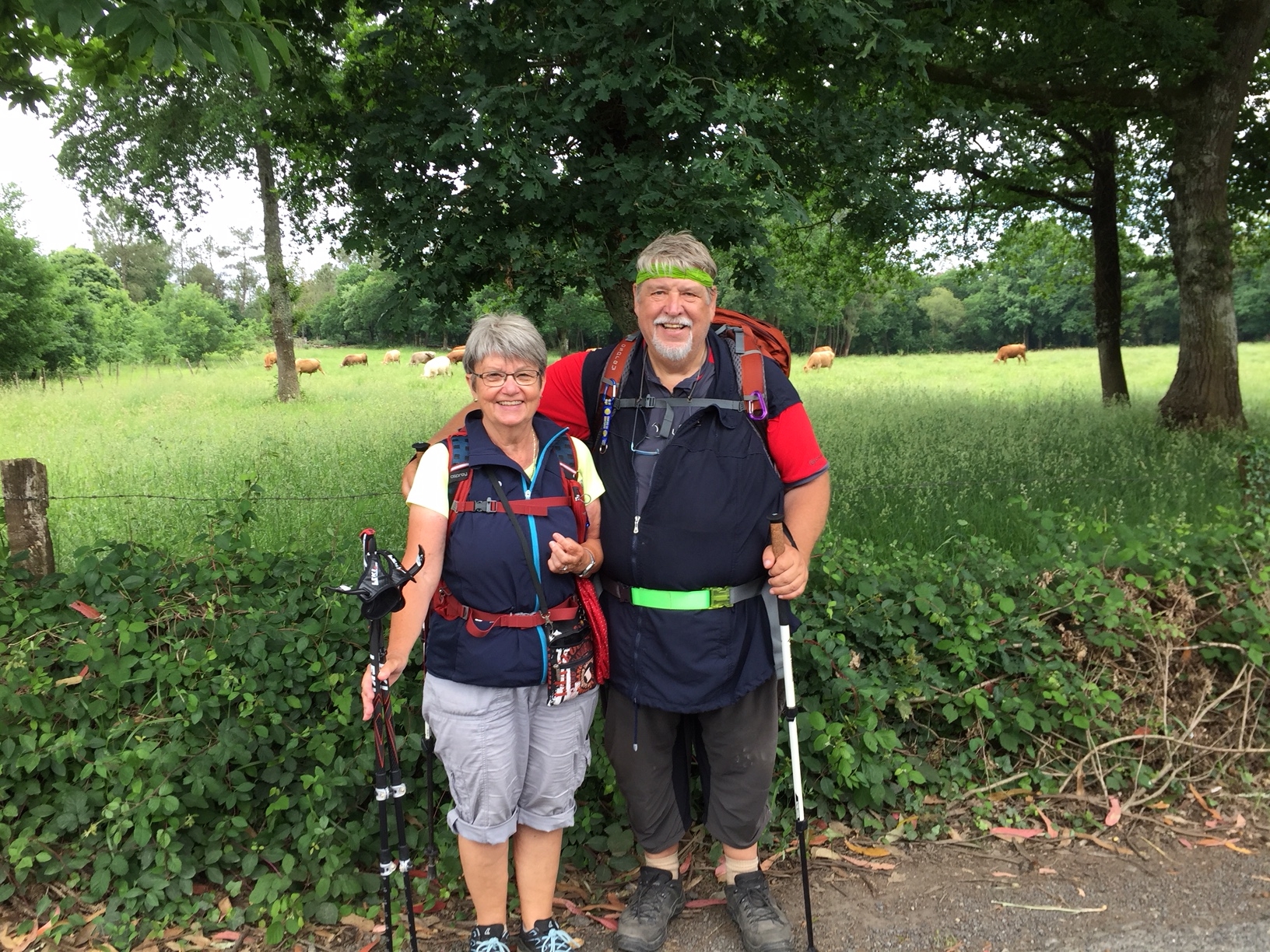 Auf dem Weg nach Melide