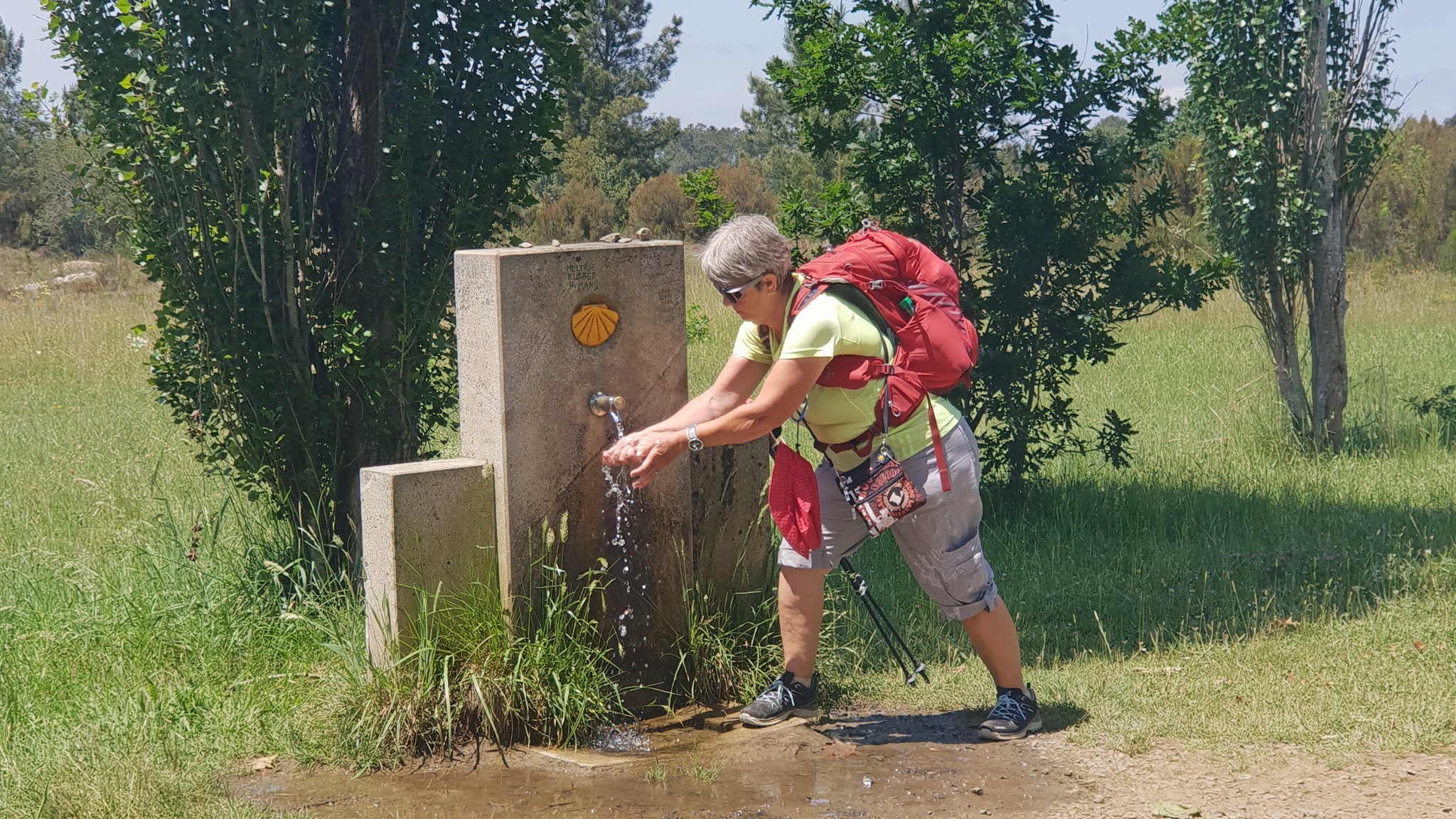 Auf dem Weg nach Melide