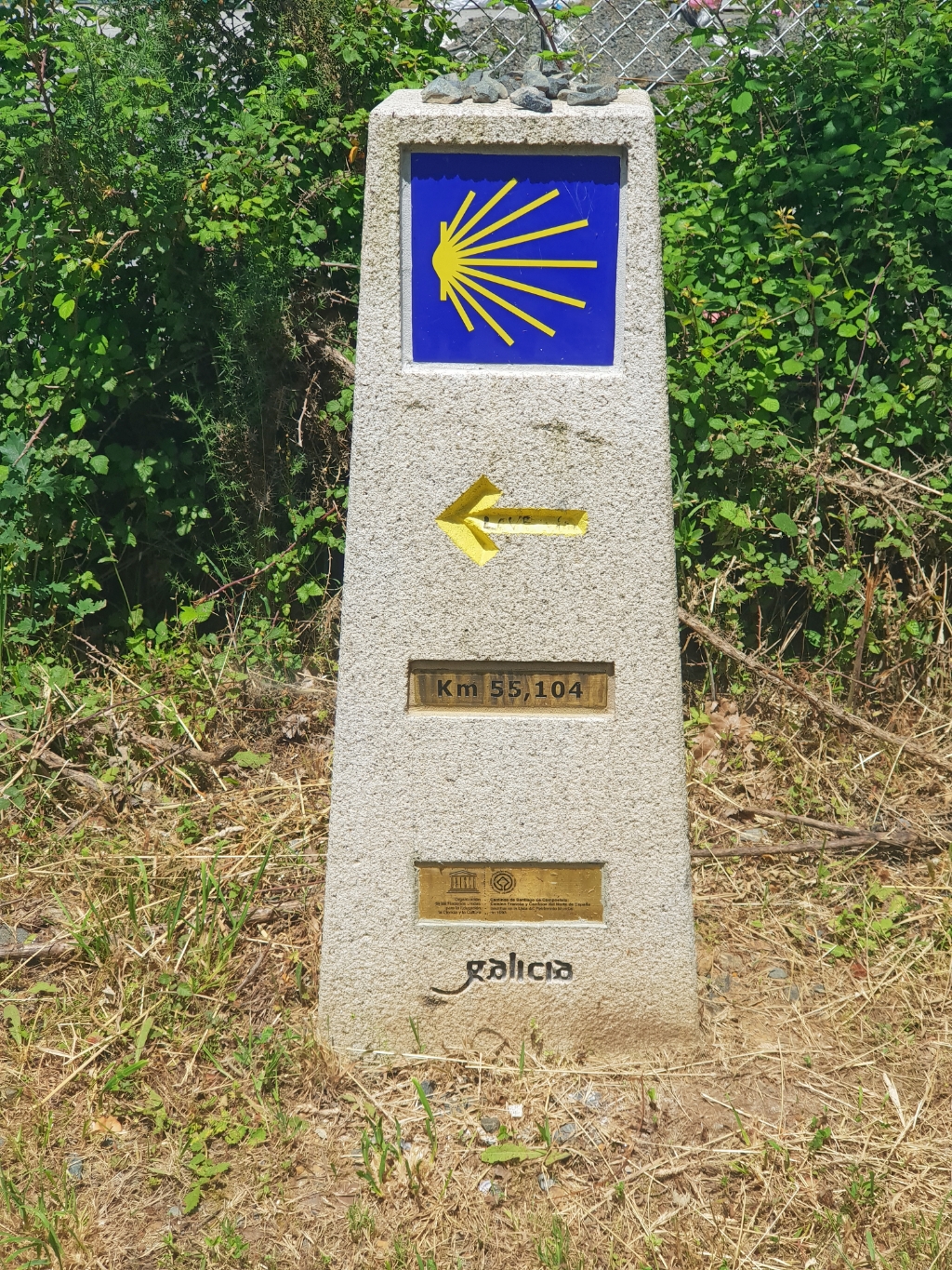 Auf dem Weg nach Melide