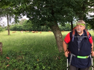 Auf dem Weg nach Melide