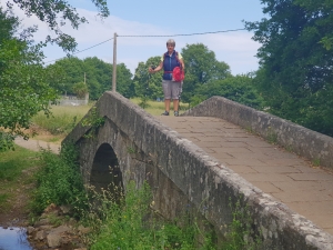 Auf dem Weg nach Melide