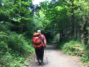 Auf dem Weg nach Melide