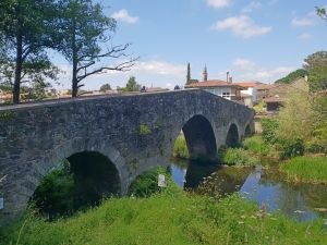 Auf dem Weg nach Melide