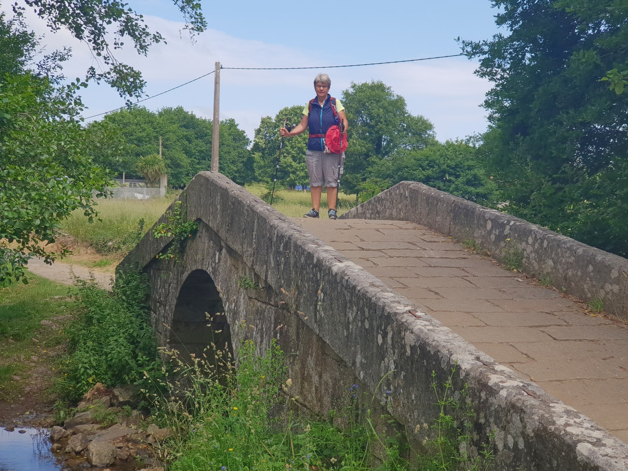 Auf dem Weg nach Melide