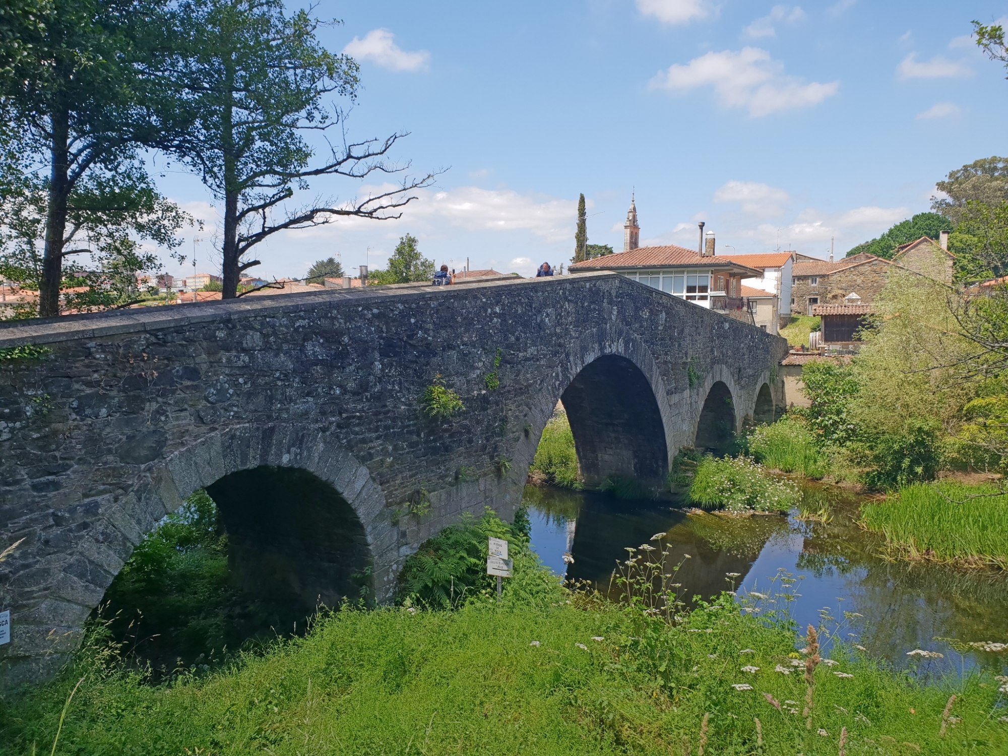 Auf dem Weg nach Melide