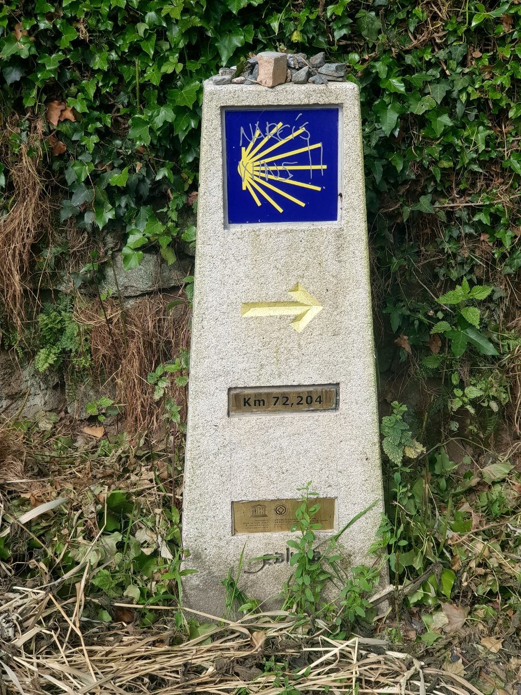 Auf dem Weg nach Palas de Rei