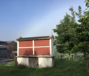 Kornspeicher auf dem Weg nach Palas de Rei