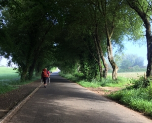 Auf dem Weg nach Palas de Rei