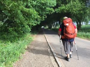 Auf dem Weg nach Palas de Rei