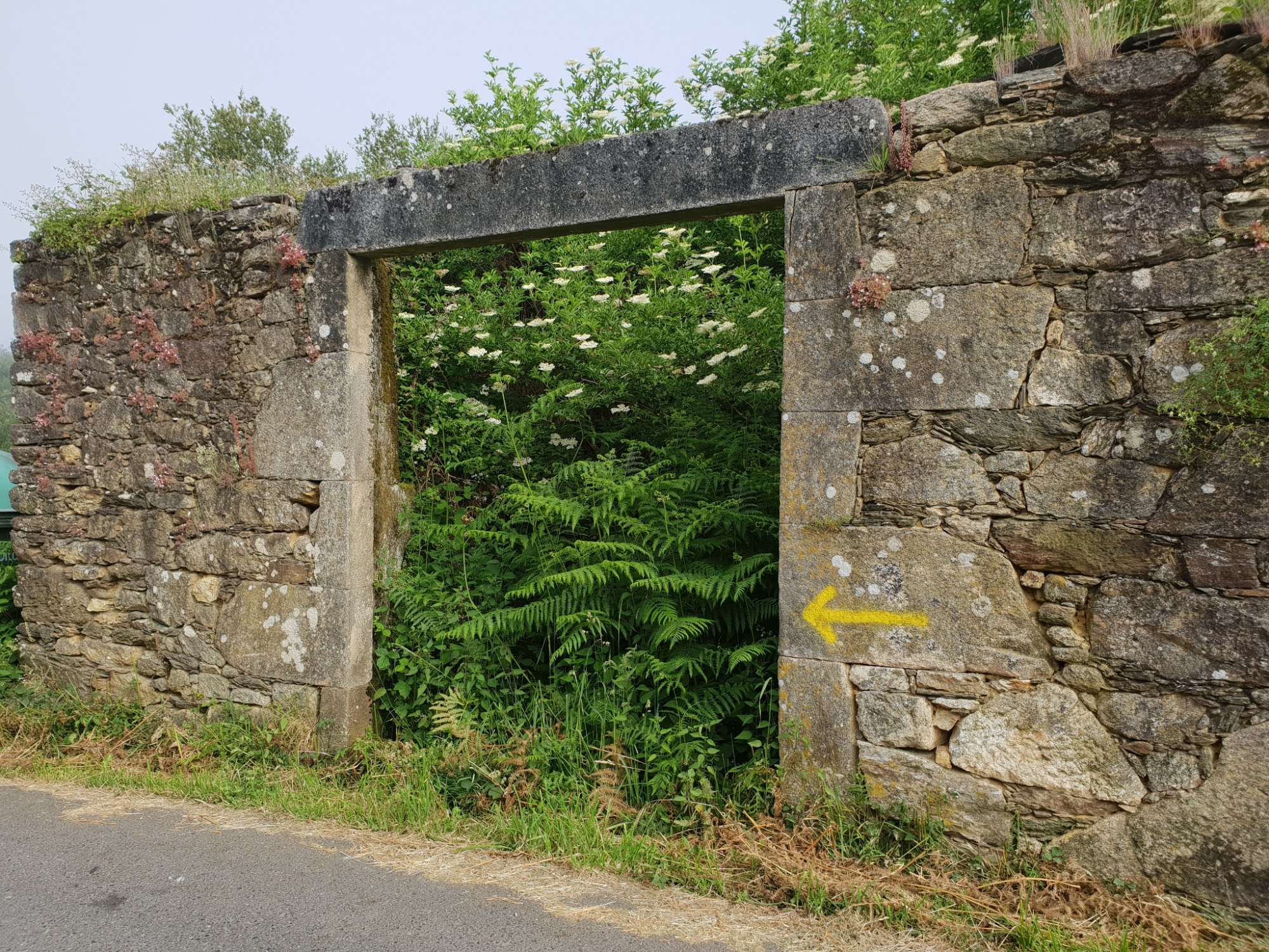 Auf dem Weg nach Palas de Rei