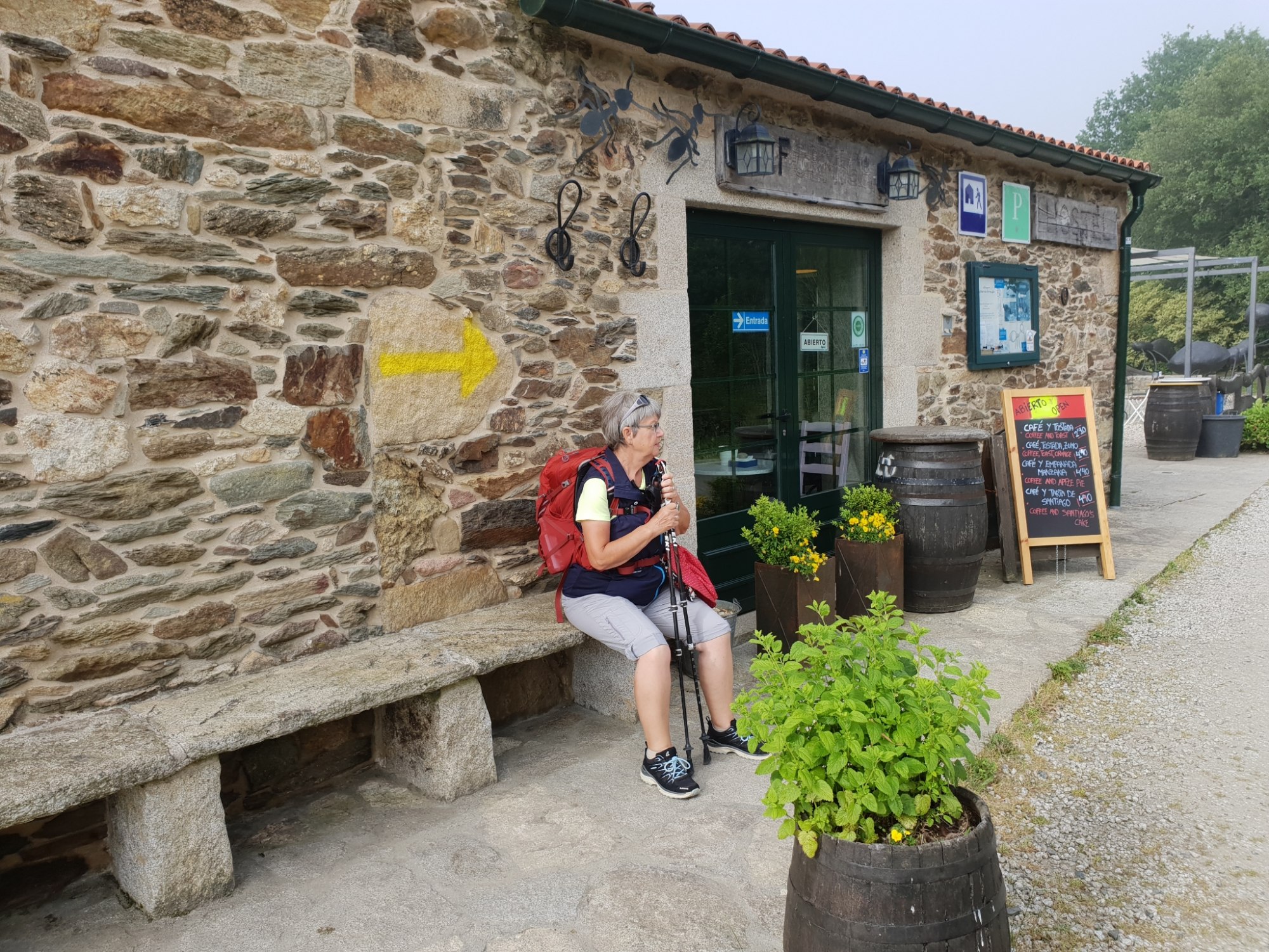 Auf dem Weg nach Palas de Rei