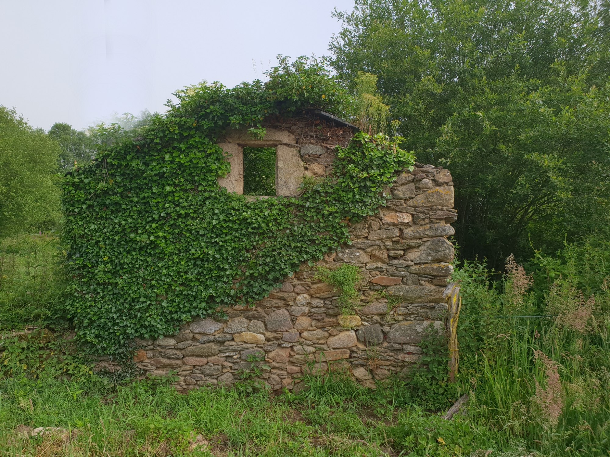 Auf dem Weg nach Palas de Rei