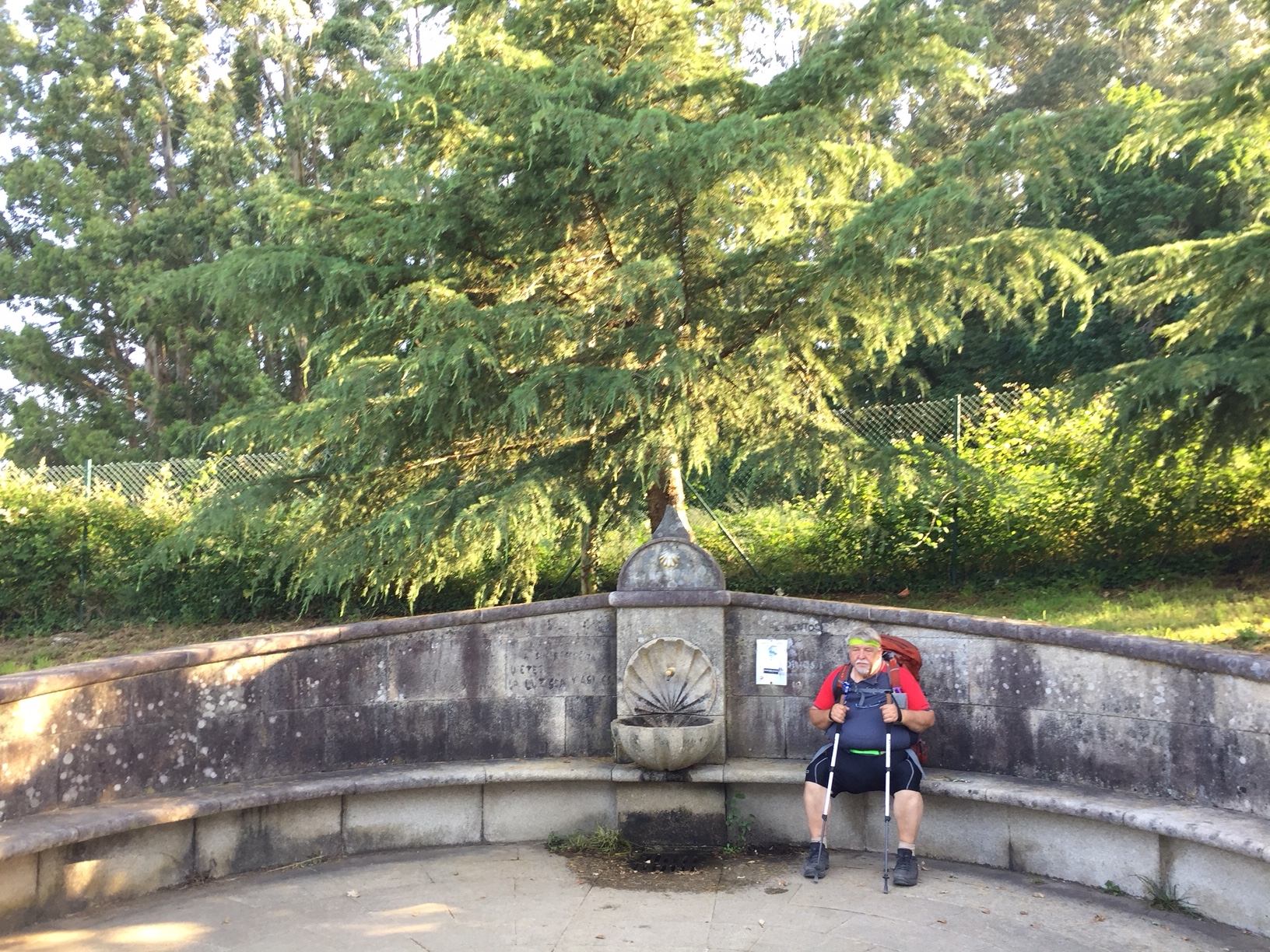 Auf dem Weg nach O Pedrouzo