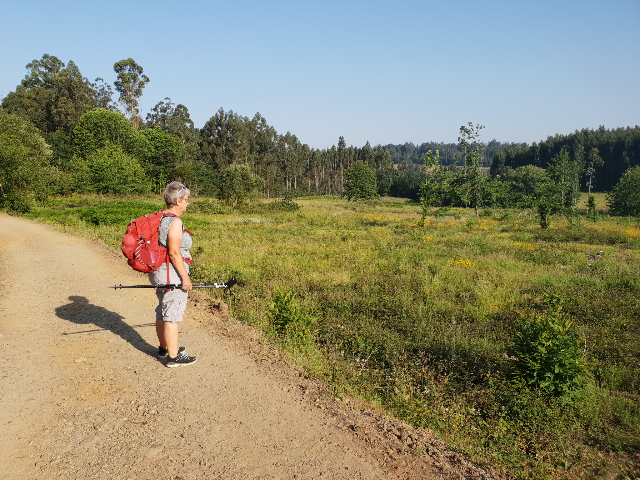 Auf dem Weg nach O Pedrouzo