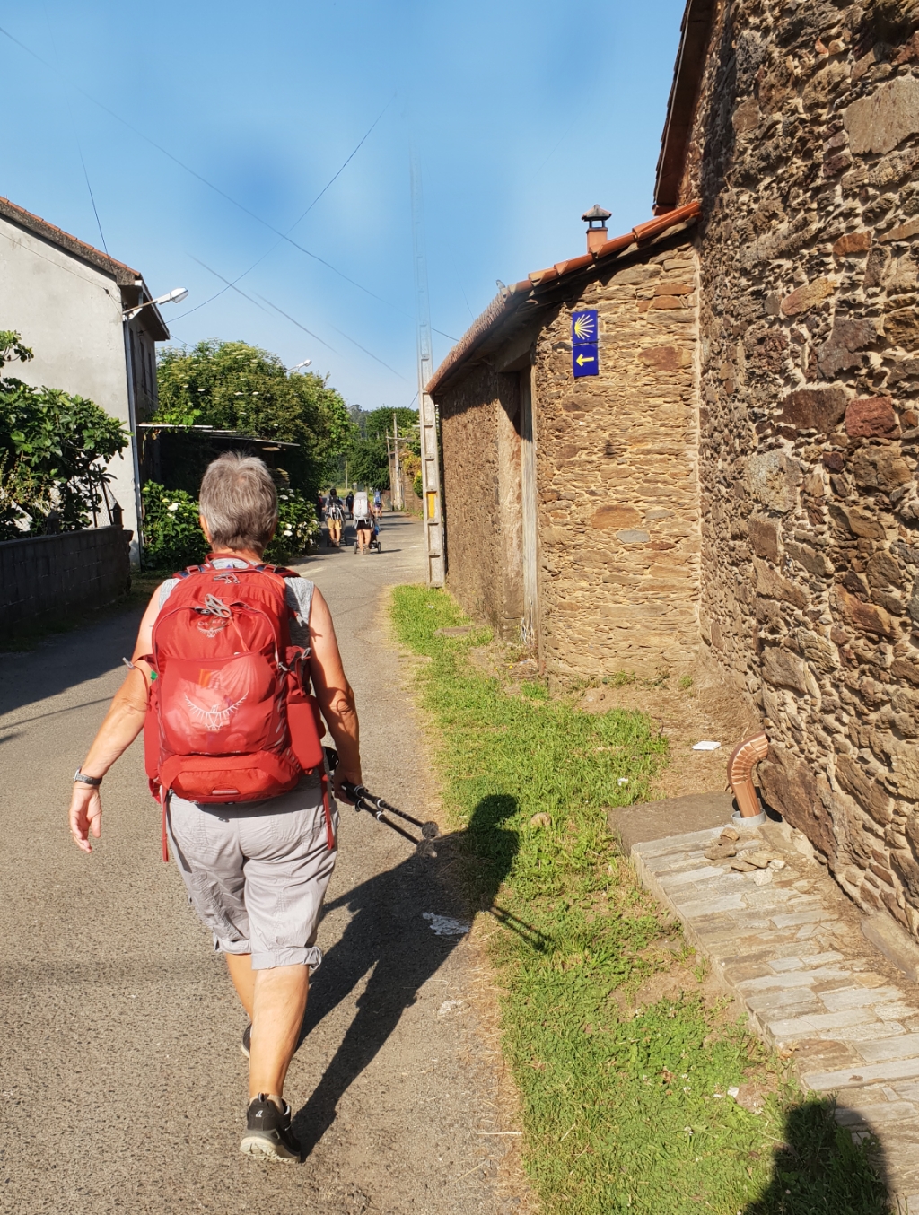 Auf dem Weg nach O Pedrouzo