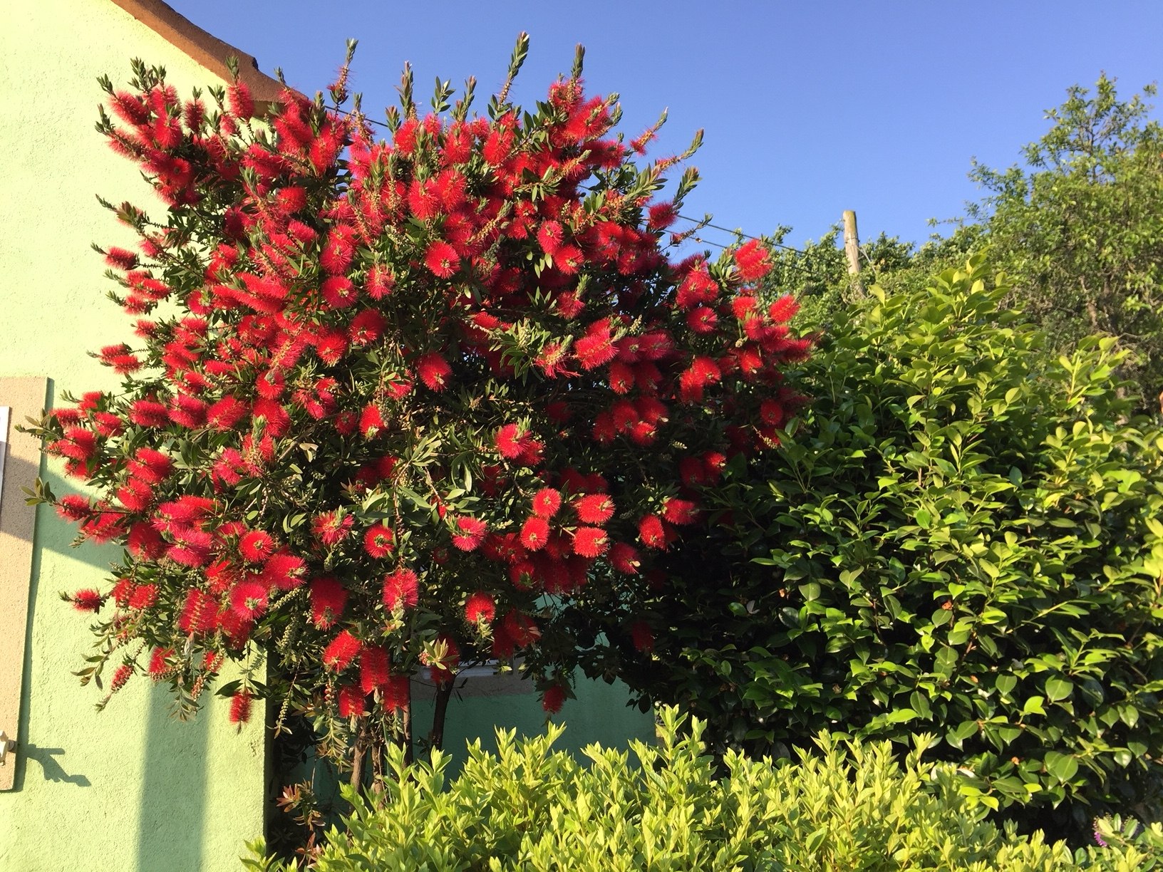 Auf dem Weg nach O Pedrouzo