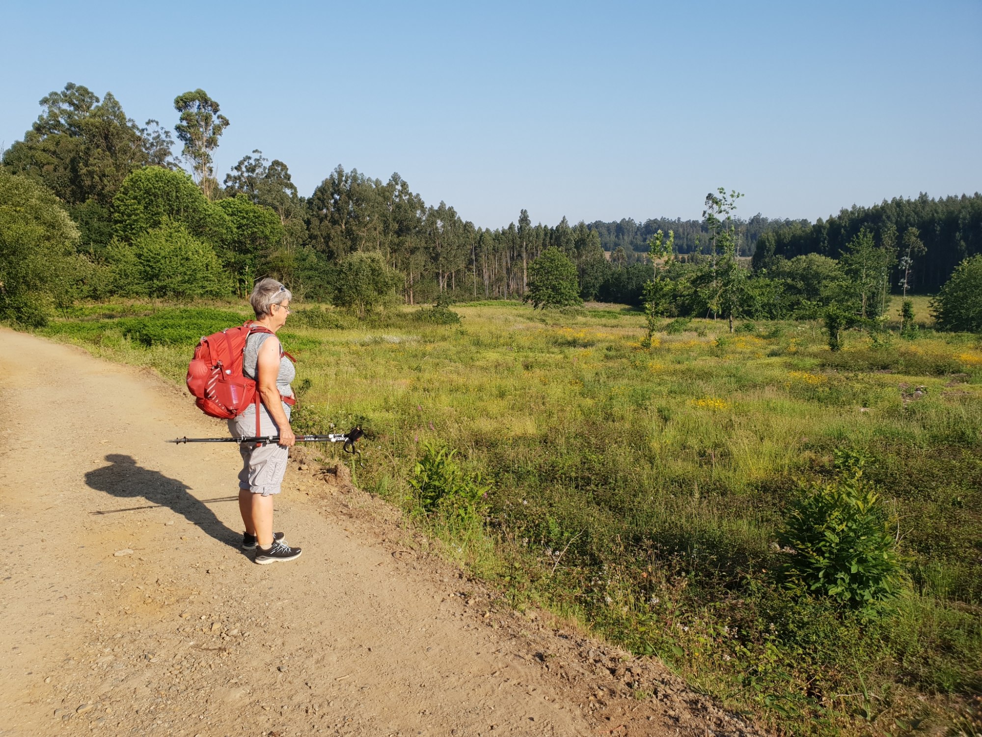 Auf dem Weg nach O Pedrouzo
