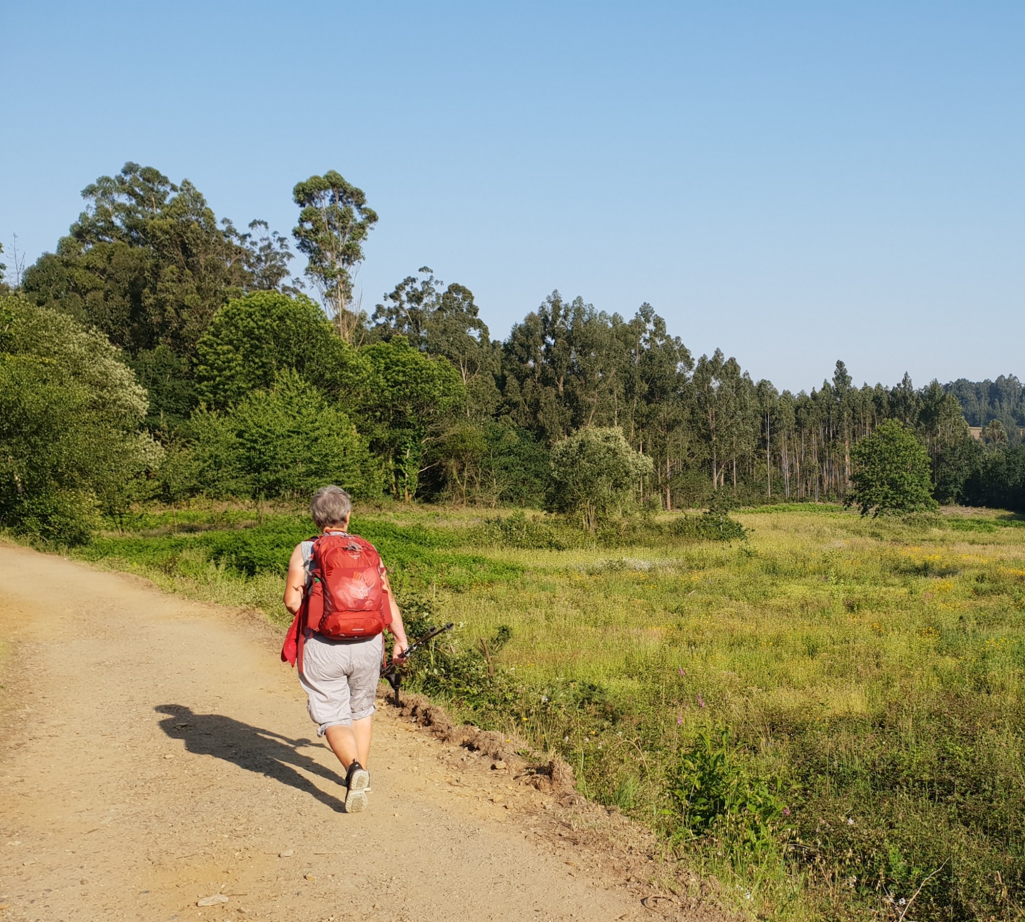 Auf dem Weg nach O Pedrouzo