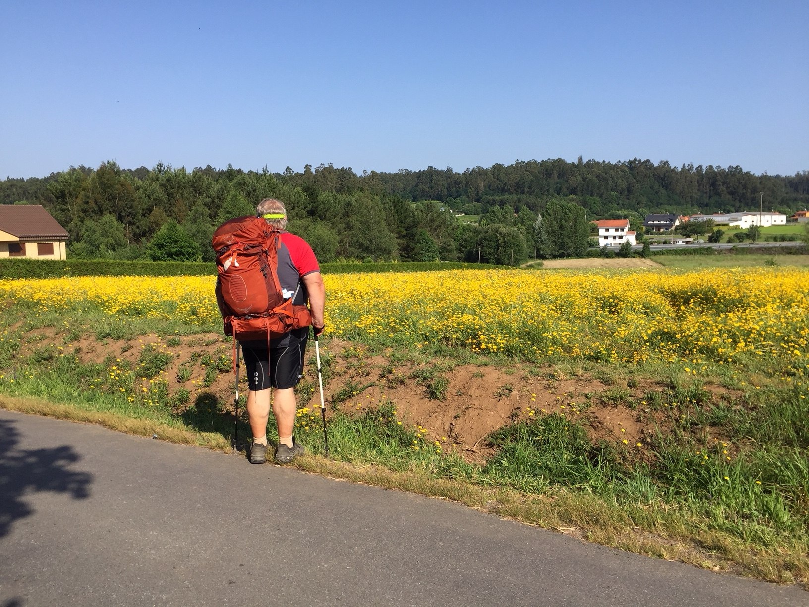Auf dem Weg nach O Pedrouzo