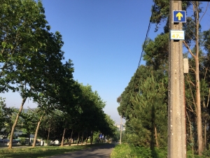 Die letzten Kilometer