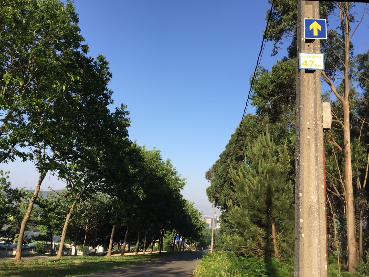 Die letzten Kilometer