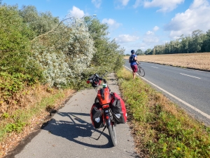 Bäume auf dem Radweg - Auswirkungen vom gestrigen Sturm