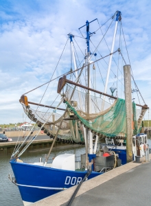 Fischkutter im Hafen Dorum-Neufeld