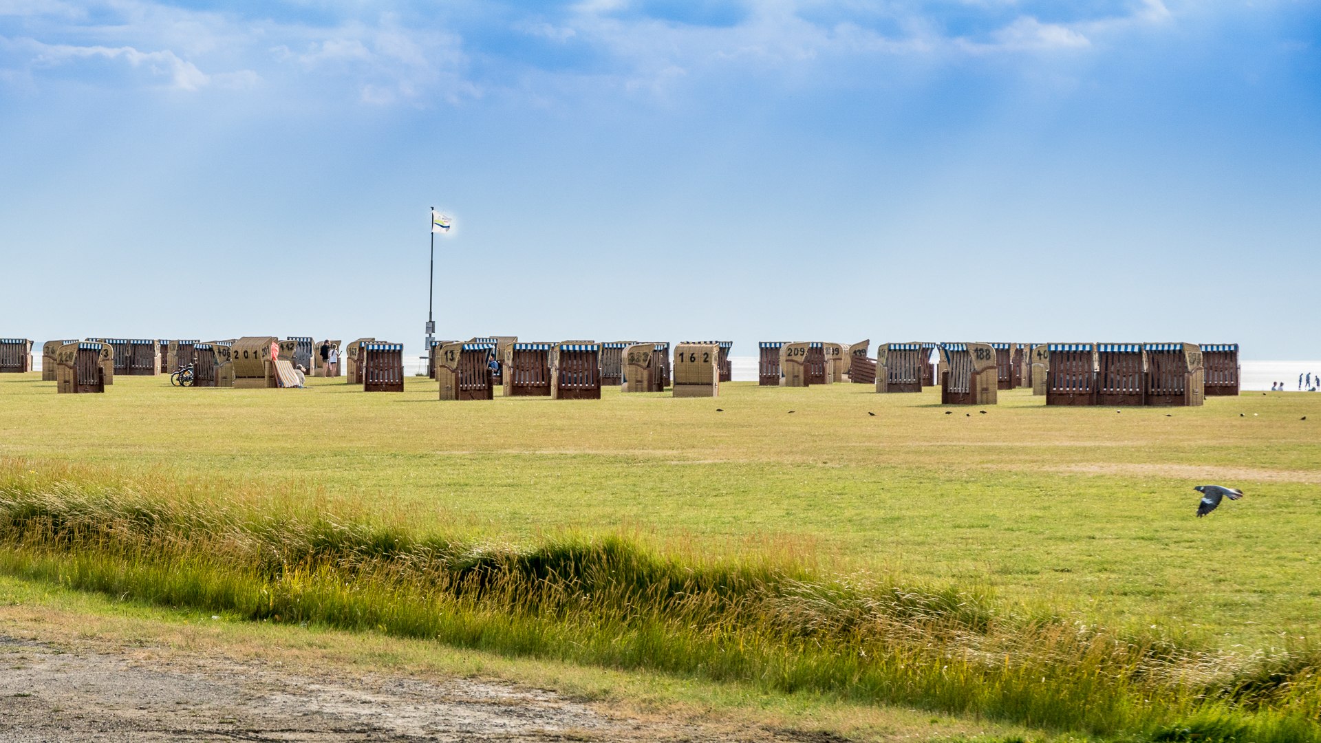 Wurster Küste in Dorum-Neufeld