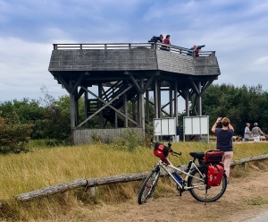 Aussichtsplattform Cuxhavener Küstenheiden