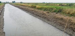 Entwässerungsgraben