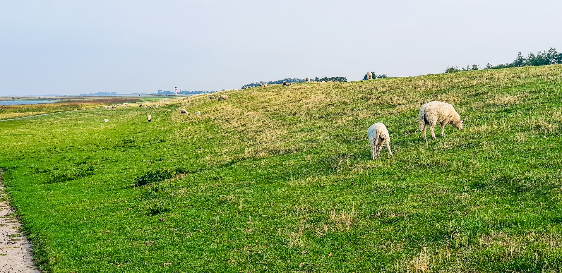 Am Elbedeich bei Glückstadt