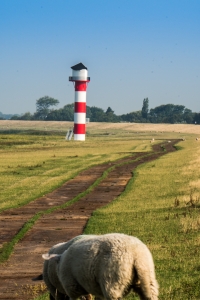 Unterfeuer Glückstadt im Morgendunst