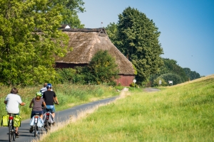 Reetgedeckte Scheune am Elbradweg