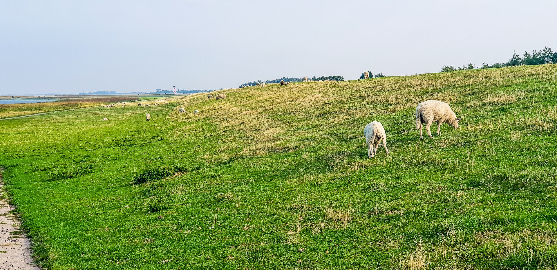 Am Elbedeich bei Glückstadt