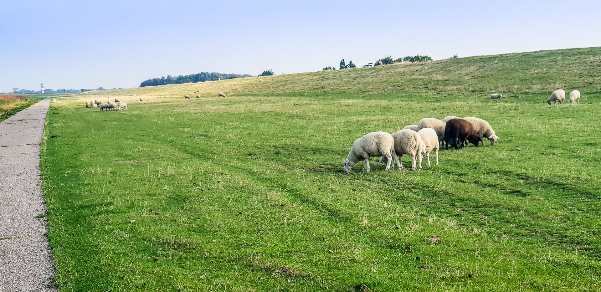 Vor'm Elbedeich bei Glückstadt