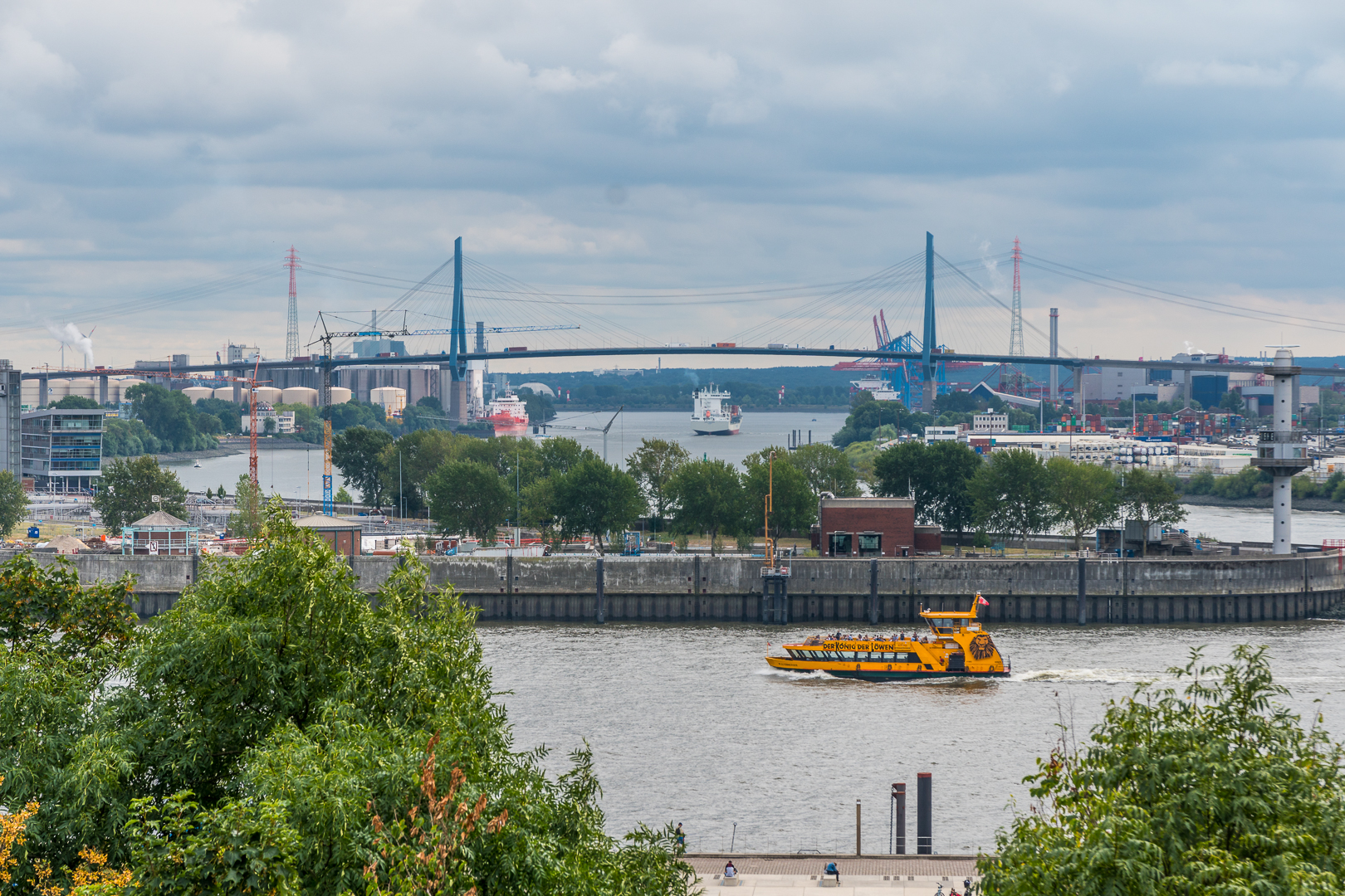 Der König der Löwen