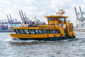 Der König der Löwen