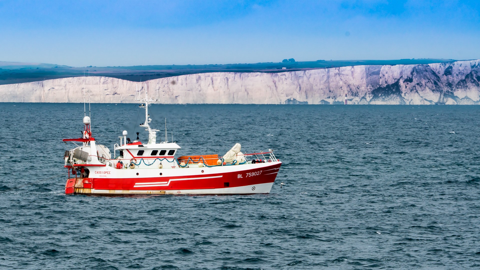 Kreidefelsen bei England