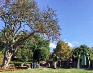 Gustav und Maria unterwegs in Dublin