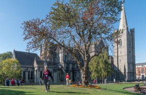 Walli an der St. Patrick's Kathedrale