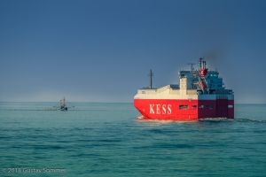 Autotransporter Neckar Highway und Fischkutter auf der Elbe in der Abendsonne