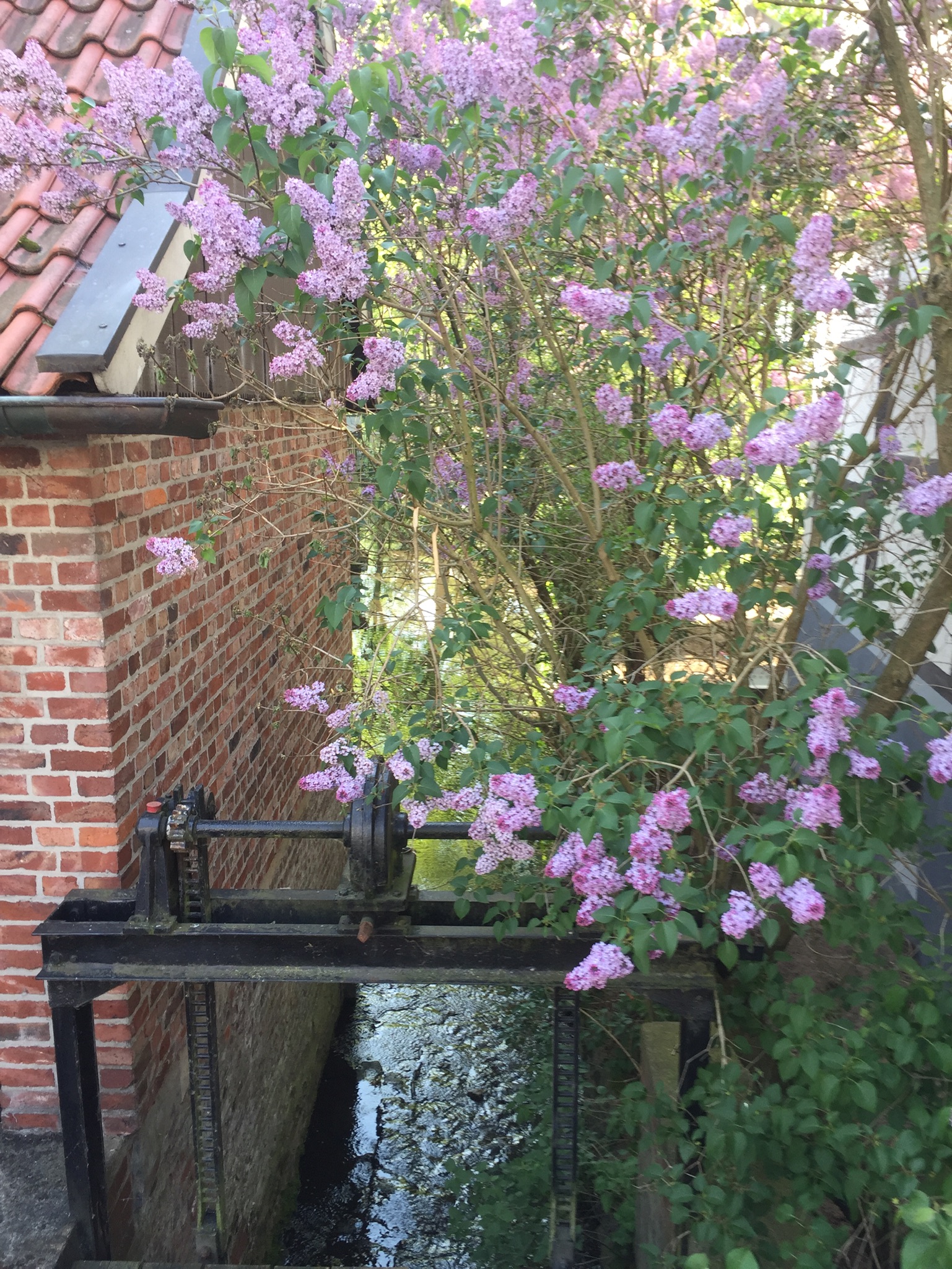 Ems Radweg, Rietberg