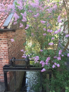 Ems Radweg, Rietberg