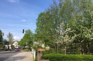 Ems Radweg, Rietberg