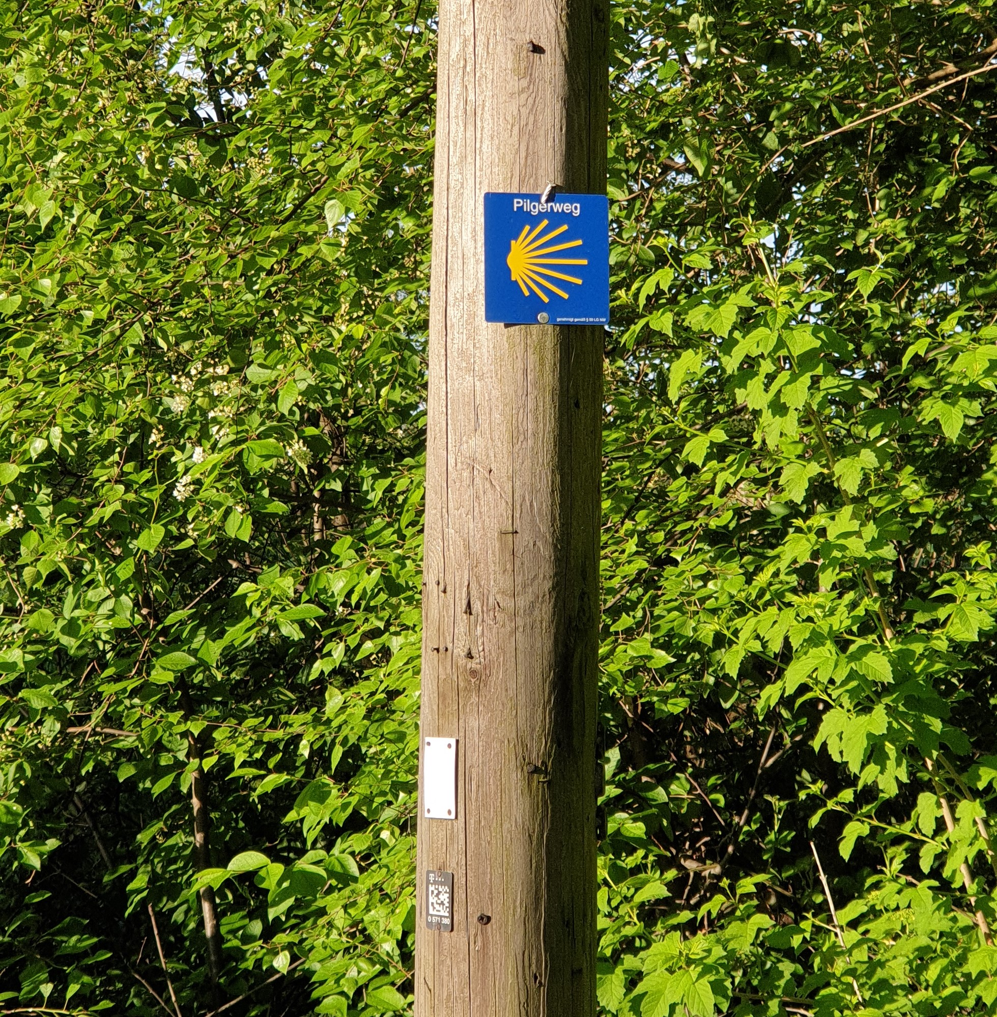 Ems Radweg Tag 4 und Pilgerweg