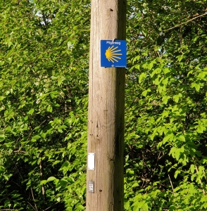 Ems Radweg Tag 4 und Pilgerweg