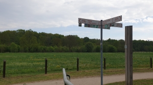 Ems Radweg Tag 4 - Ems Auen