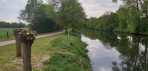 Ems Radweg Tag 4 - Ems Auen 