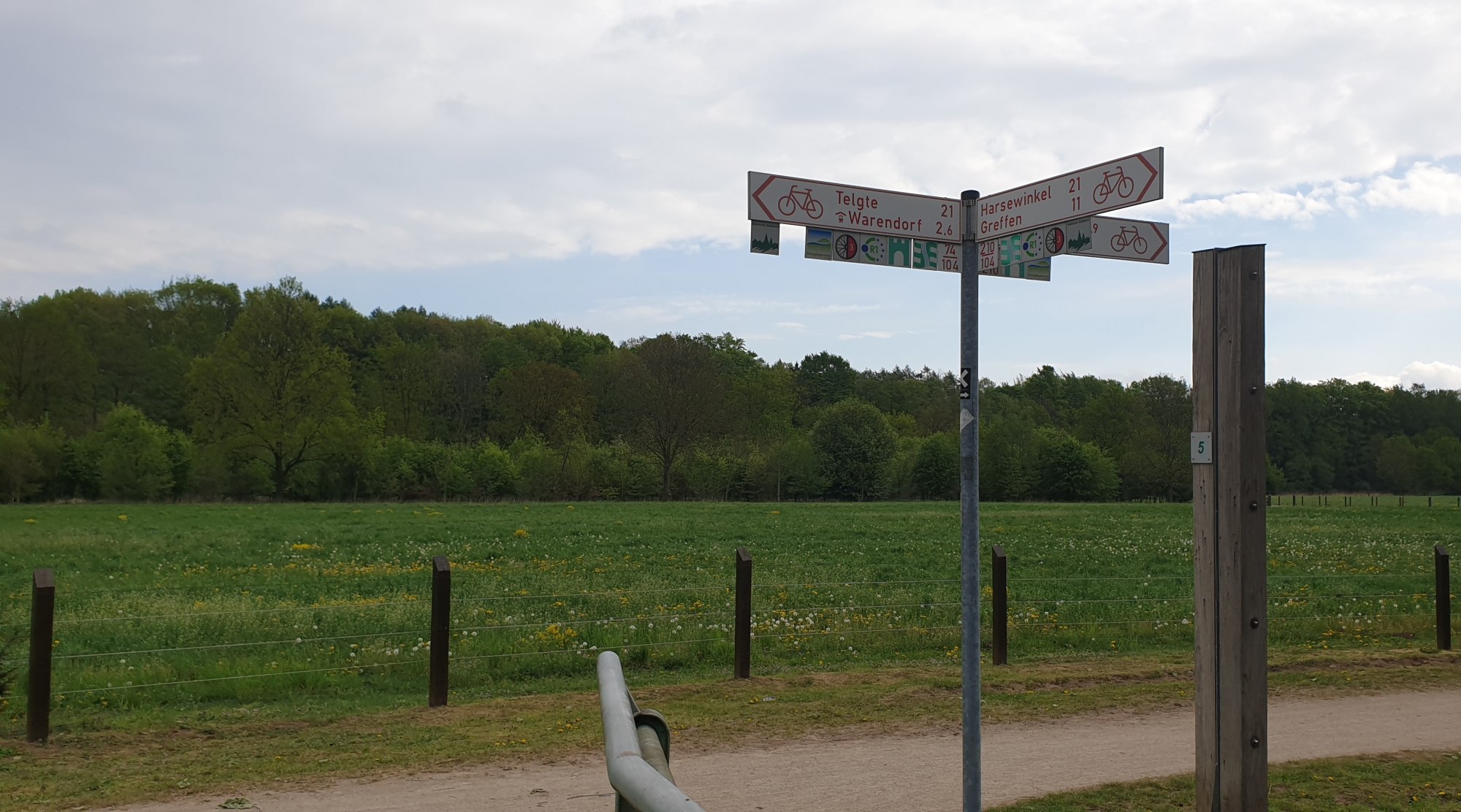 Ems Radweg Tag 4 - Ems Auen